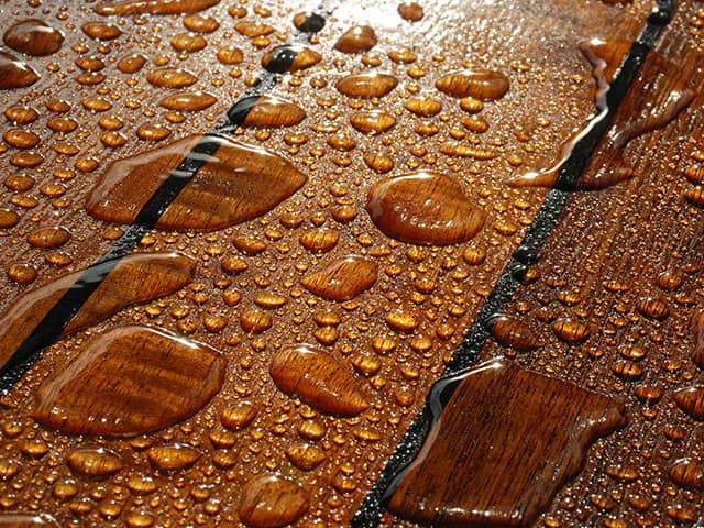 Professional Cleaning Services