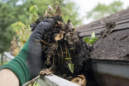 Preventing Foundation Damage: Gutter Cleaning Tips for Gladstone Homeowners